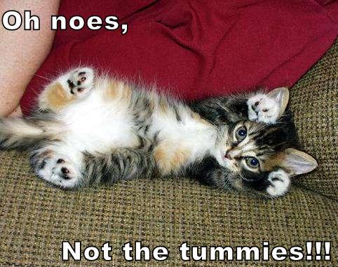 oh-noes-not-the-tummy.jpg